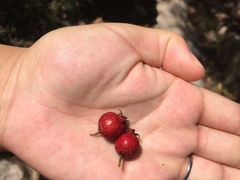 -碓臼峪自然风景区