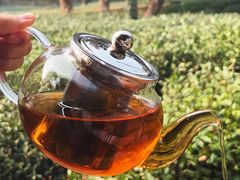 -野蔓果·山野菜(西湖景区·龙井茶田店)