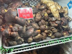 -太婆天府山珍酒楼(亚运村店)