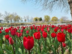 -玄武湖景区-情侣园游乐场