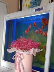 -AMI3·本沐皮肤管理中心