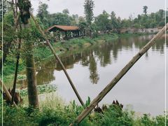 -枫香湖儿童公园