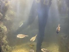 -福州罗源湾海洋世界旅游区