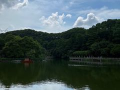 -广州市帽峰山景区