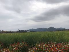景点-光明小镇欢乐田园