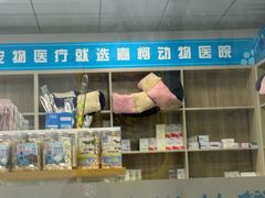 -嘉馨宠物医院·CT影像转诊·心脏科·犬猫全科诊疗中心(下沙大学城院区)