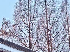 -元大都城垣遗址公园