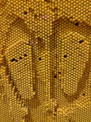 -幻贝家儿童乐园(武汉永旺梦乐城店)