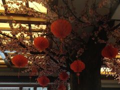 -鸥迪足道(安庆店)