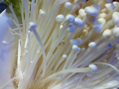 -热火朝天鲜切牛肉火锅(南强街巷店)