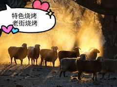 -老街冷水鱼烧烤(河堤夜市店)