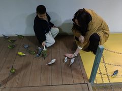 -上海大自然野生昆虫馆(东方明珠·爬宠昆虫探索中心)