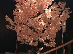 -提香日本料理