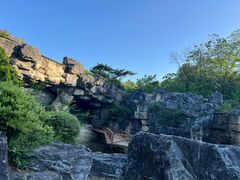 -上海吴淞炮台湾国家湿地公园