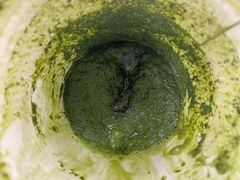 -Peet's Coffee皮爷咖啡(德基店)