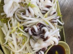 芥末海菊花-贞姨美食·老字号海鲜大排档