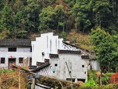 -祁门牯牛降观音堂风景区