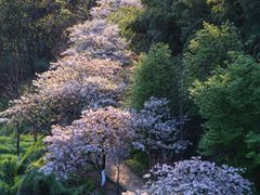 -篁岭景区