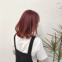 -T8 SALON