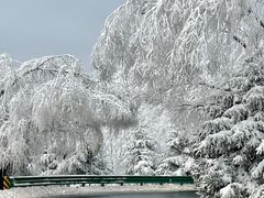 -秦岭风景区