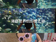 -成都浩海立方海洋公园