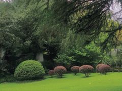 -广州兰圃