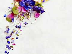 -新都绿城喜来登酒店大堂吧