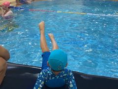 -小海豚国际游泳培训中心(浦东源深体育中心店)