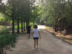 -白水寺森林公园