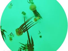 -常州海昌海洋探索馆