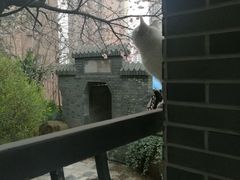 -竹吟山房
