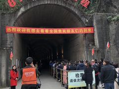 -816工程景区