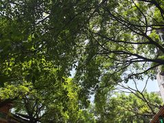 -偏岩古镇