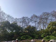 -西湖外事游船(湖滨二公园外事游船码头)