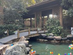 -张家港金凤凰度假村温泉