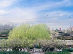 -元大都城垣遗址公园