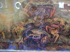 -三子烤羊腿·海鲜(弘阳店)
