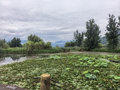-西昌邛海湿地