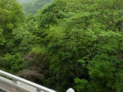 android_upload_pic-杭州林泉山庄
