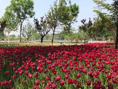 -廊坊文化艺术中心