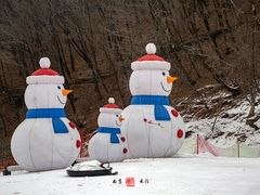 -参仙谷生态旅游度假区