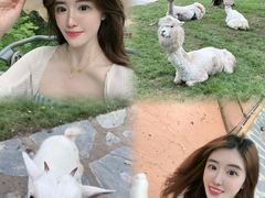 -南戴河国际娱乐中心