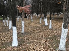 -长春世界雕塑园冰雪艺术天地