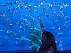 -沈阳海洋探索中心