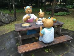 -济州岛泰迪熊博物馆