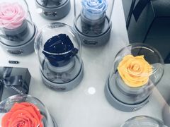 -ROSEONLY诺誓(沈阳万象城店)