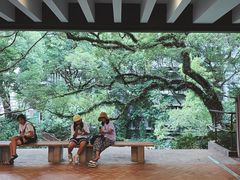 -香港大学