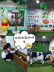 -点点梦想城(金水路店)