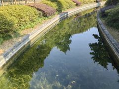 -蠡湖大桥公园