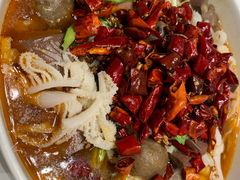 -新吉士·上海菜(浦东LCM置汇旭辉店)